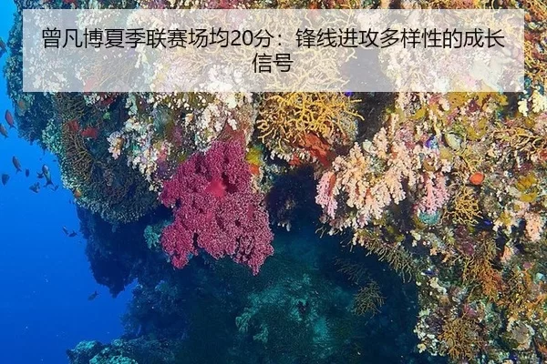 ceng-fan-bo-xia-ji-lian-sai-chang-jun-fen-feng-xian-jin-gong-duo-yang-xing-de-cheng-zhang-xin-hao-2-320.jpg